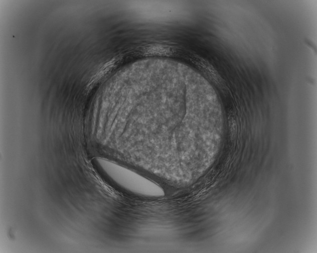 X0000097750729200804041102