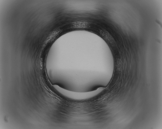 X0000097750731200804041102