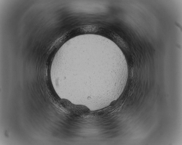 X0000097750733200804041102