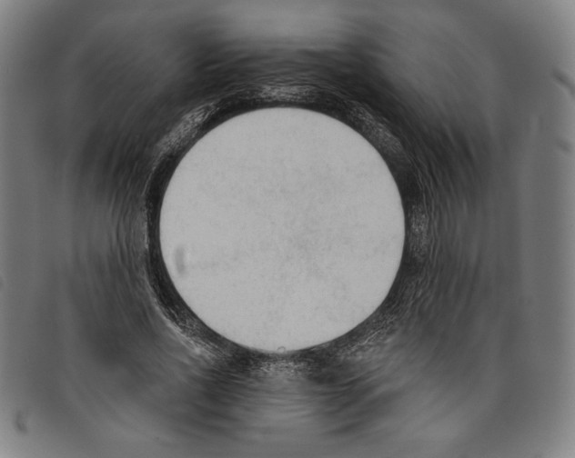 X0000097750734200804041102