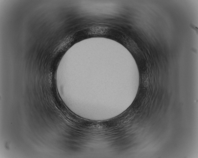 X0000097750735200804041102