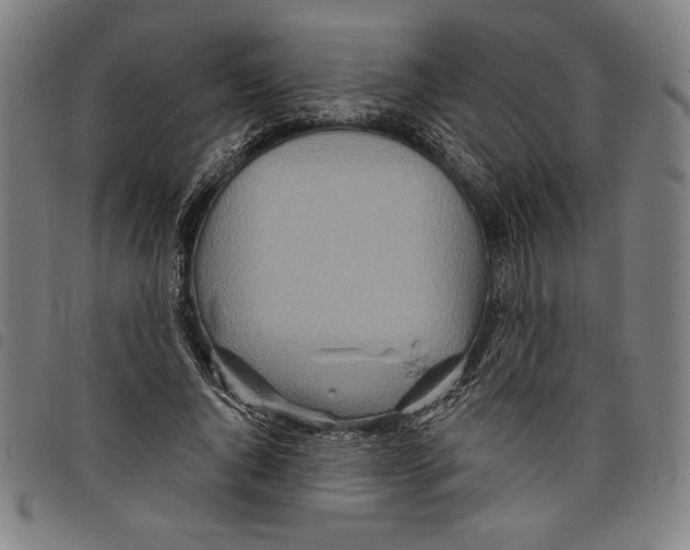 X0000097750736200804041102