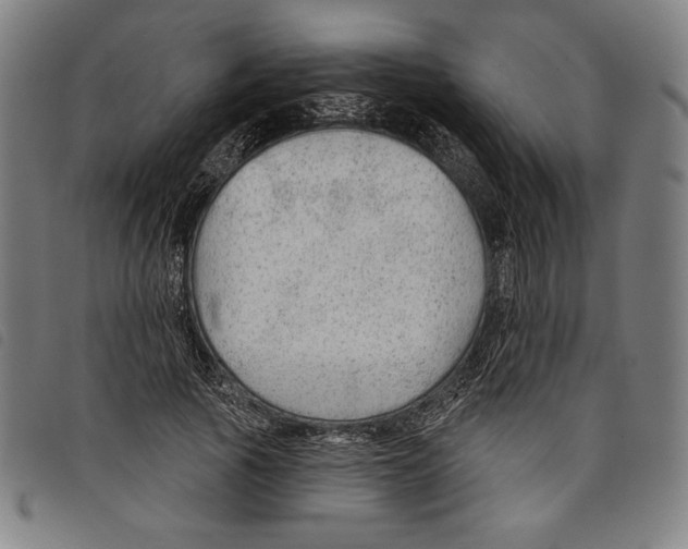 X0000097750737200804041102