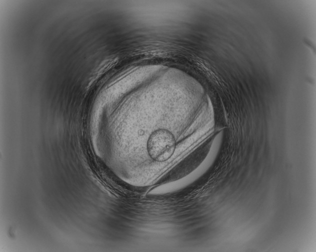 X0000097750738200804041102