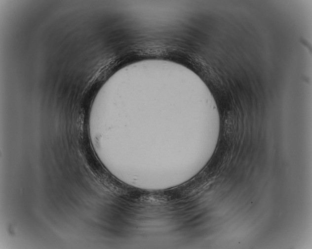 X0000097750739200804041102