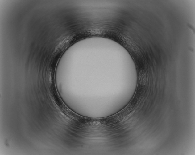 X0000097750740200804041102