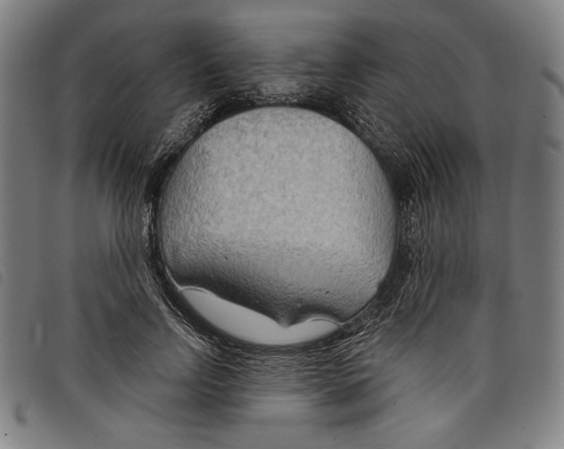 X0000097750742200804041102