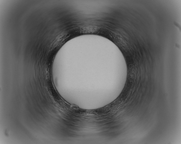 X0000097750743200804041102