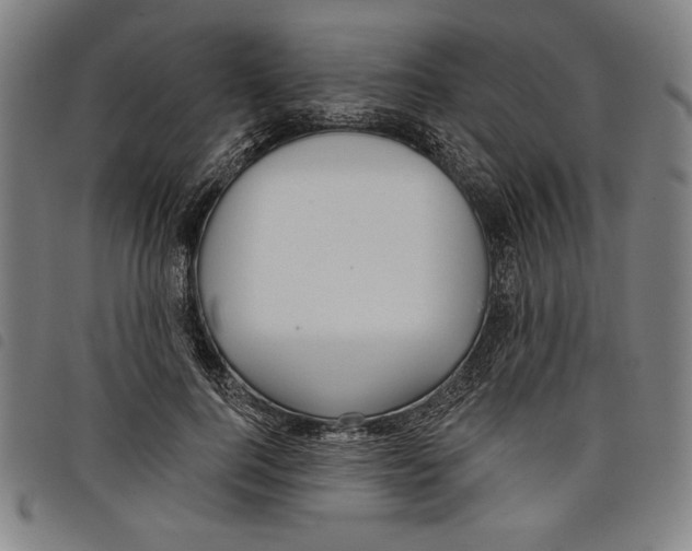 X0000097750744200804041102