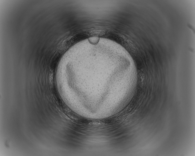 X0000097750745200804041102