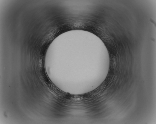 X0000097750746200804041102