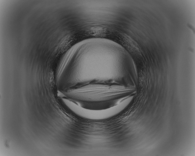 X0000097750748200804041102