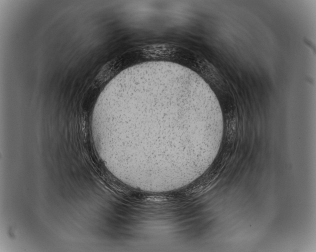 X0000097750749200804041102