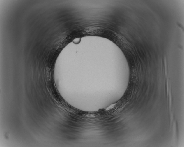 X0000097750751200804041102