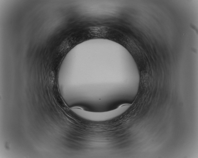 X0000097750752200804041102