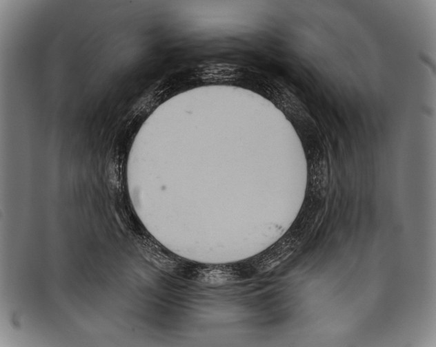 X0000097750755200804041102