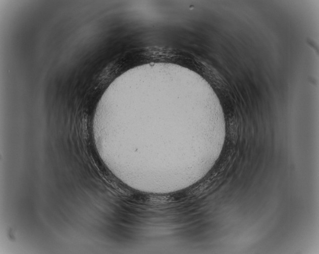 X0000097750757200804041102