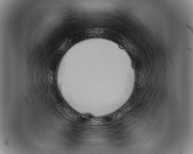 X0000097750758200804041102