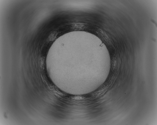 X0000097750759200804041102