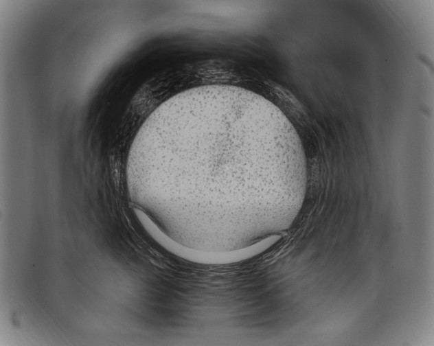 X0000097750761200804041102