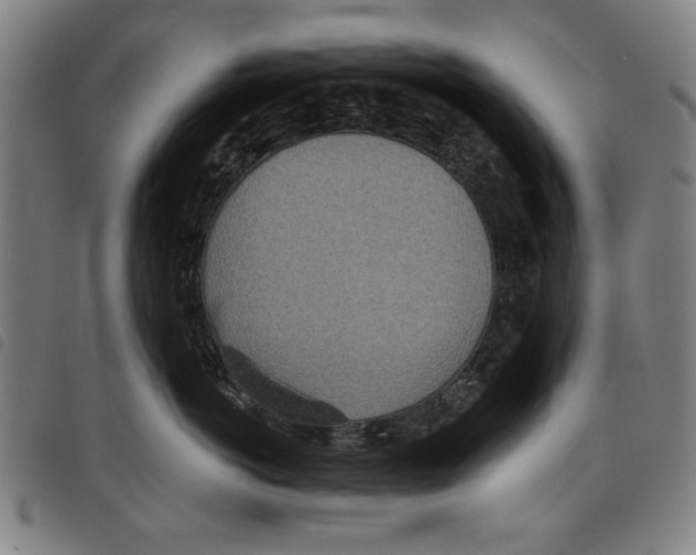 X0000097750766200804041102