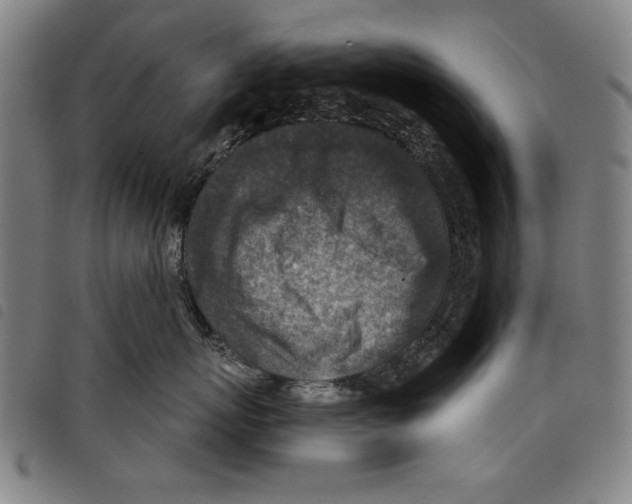 X0000097750767200804041102