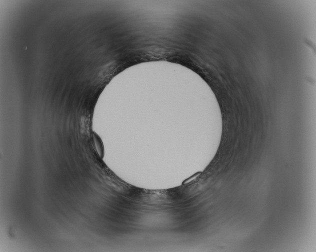 X0000097750768200804041102