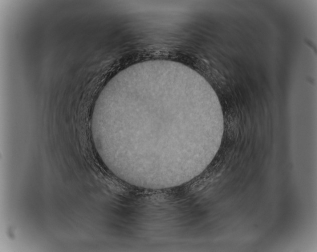 X0000097750769200804041102