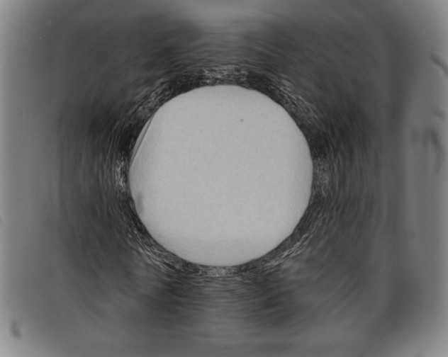 X0000097750770200804041102