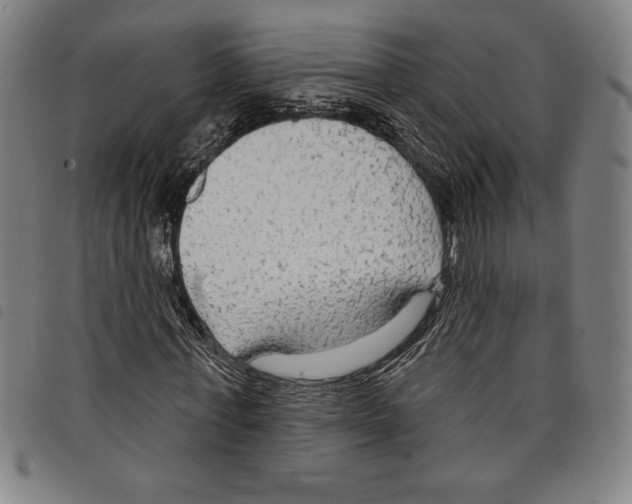 X0000097750771200804041102