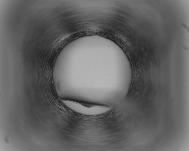 X0000097750773200804041102