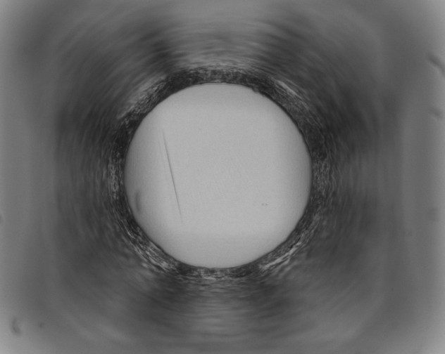 X0000097750774200804041102