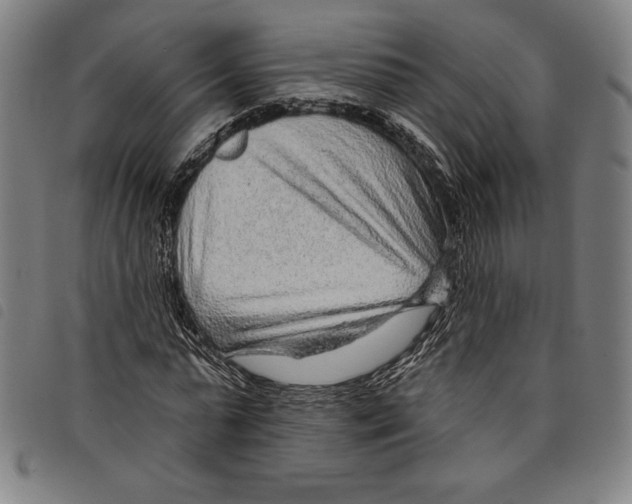 X0000097750775200804041102