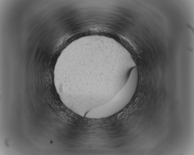 X0000097750776200804041102