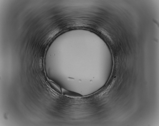 X0000097750777200804041102