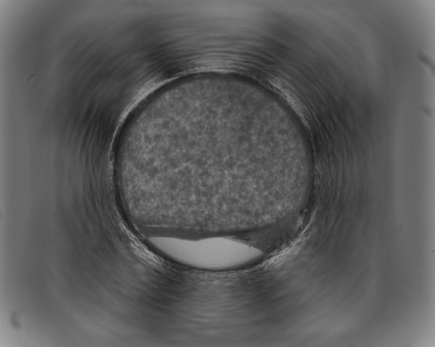 X0000097750779200804041102