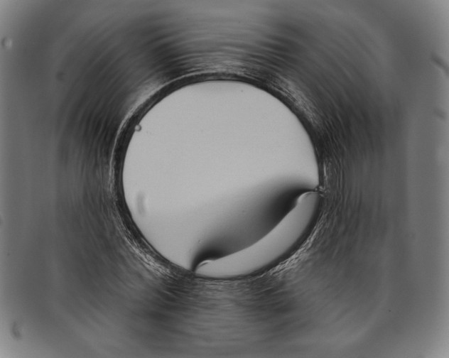 X0000097750780200804041102