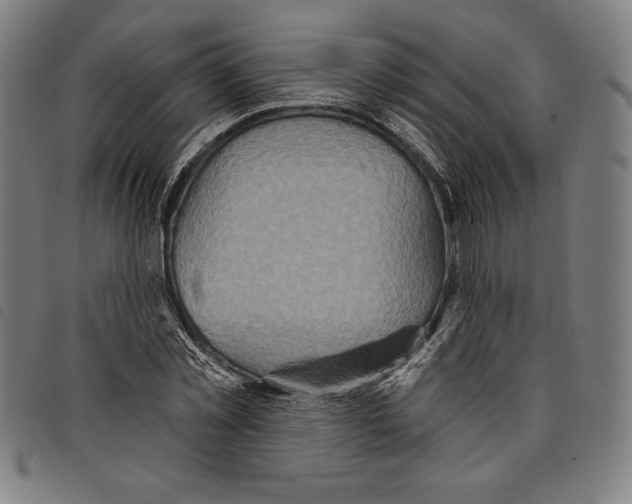 X0000097750781200804041102