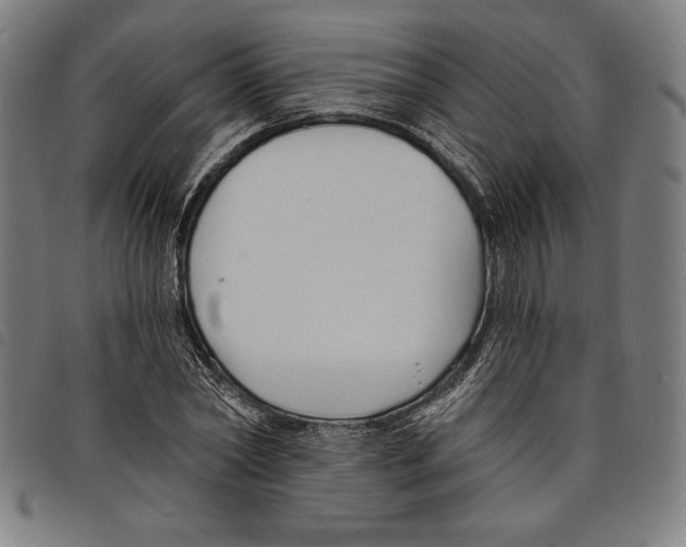 X0000097750782200804041102