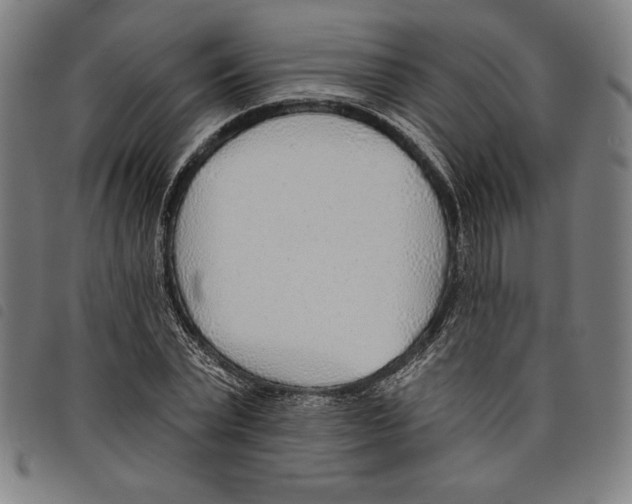 X0000097750783200804041102