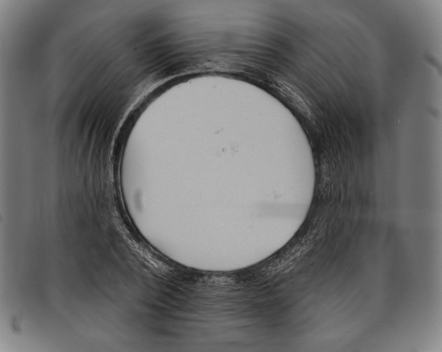 X0000097750784200804041102