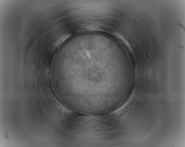 X0000097750785200804041102