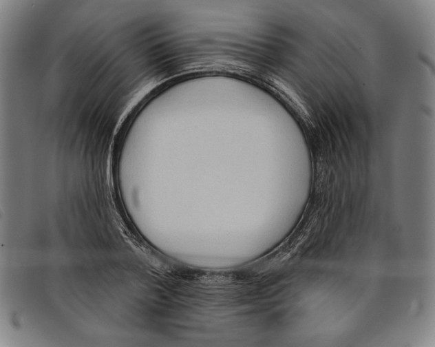 X0000097750788200804041102