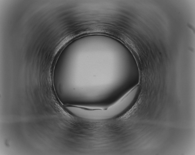 X0000097750789200804041102