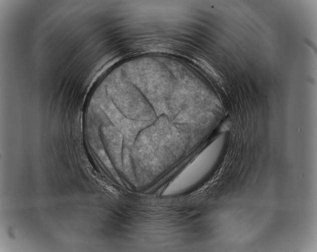 X0000097750790200804041102