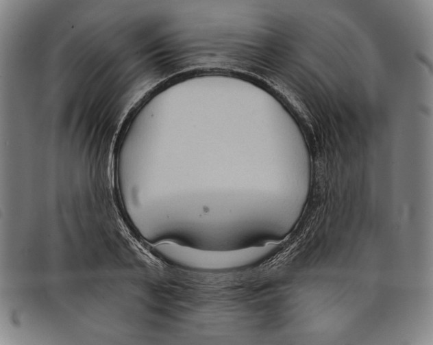 X0000097750791200804041102