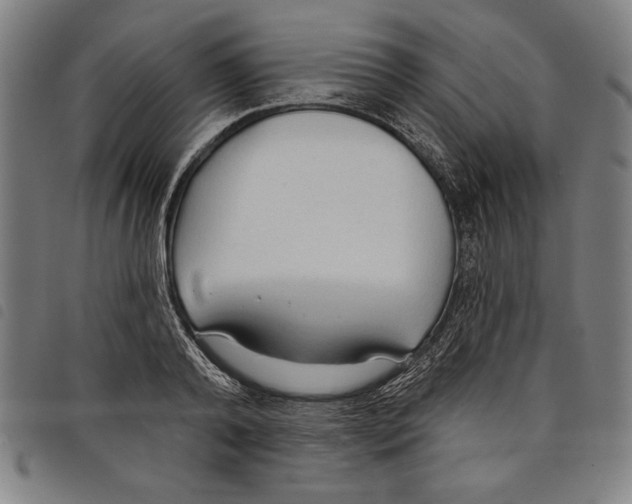 X0000097750792200804041102