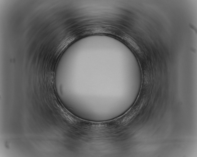 X0000097750793200804041102