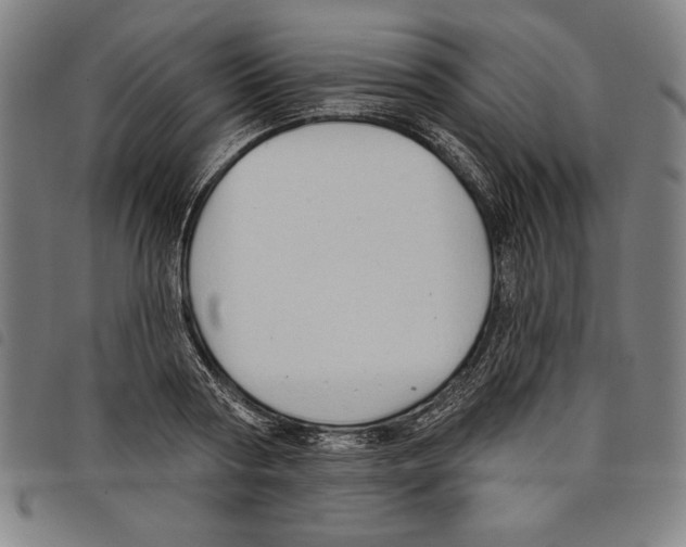 X0000097750794200804041101