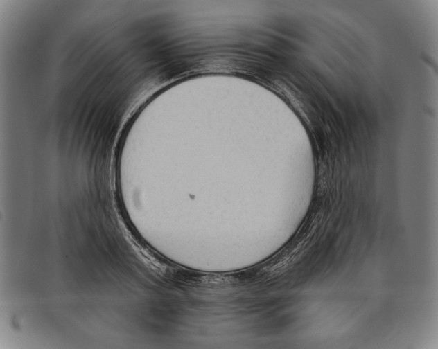 X0000097750795200804041101